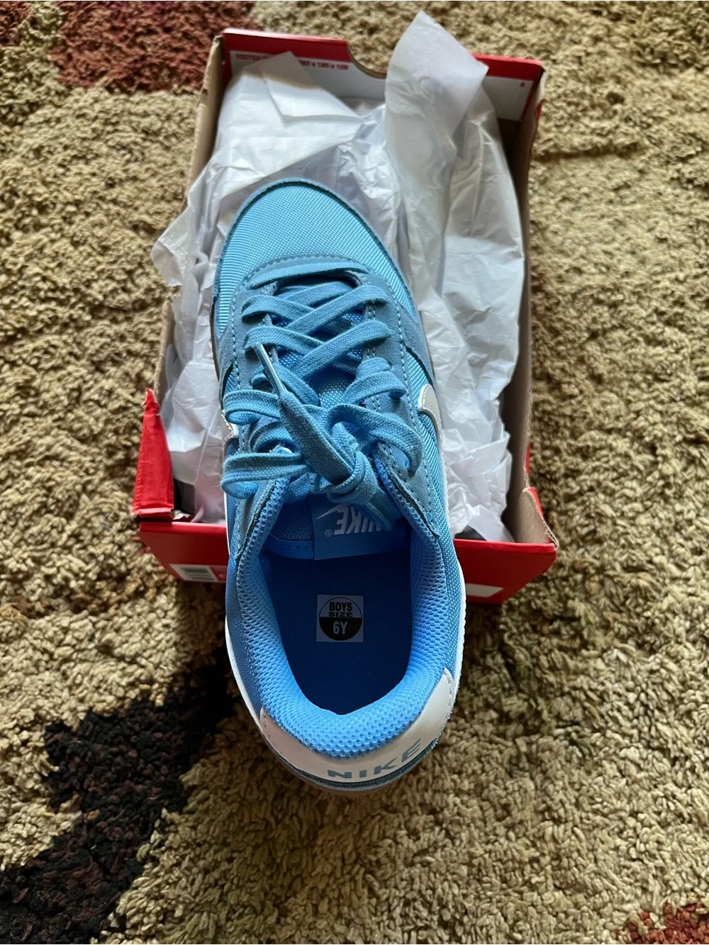 Nike Kids Light Blue Low-Top Sneakers with White Swoosh